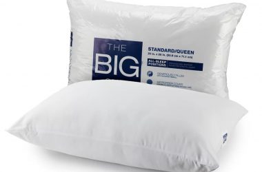 The Big One® Microfiber Pillow Just $3.99!